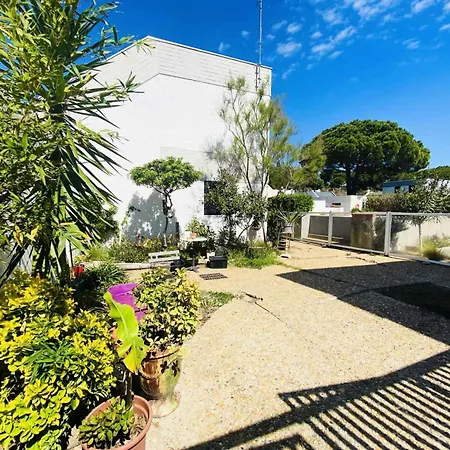 Apartment Plein Soleil Iii - Maison Proche De La Et Du Centre Mae-4154 La Grande-Motte